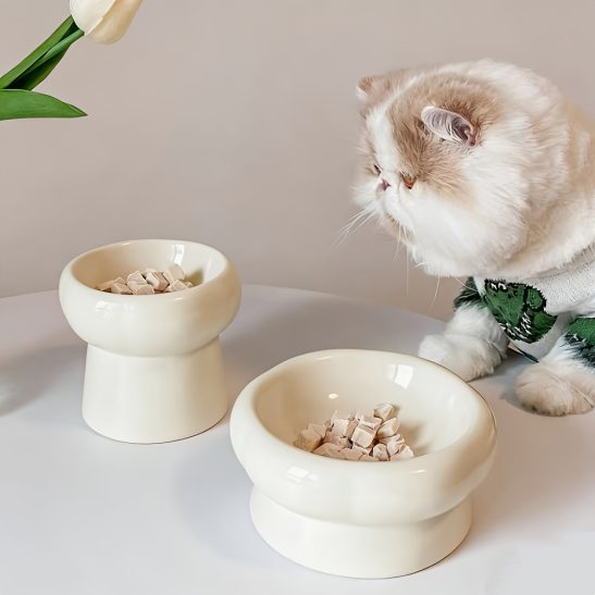 Elevated Cat Bowls 2pcs Elevated And Low-Height Cat Bowls Ceramic Cat Bowls In High And Low Styles Pet-Specific Cat Food Bowls Cat Drinking Bowls Ceramic Bowls for Pet Snacks