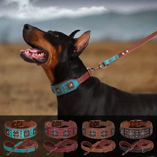 Heavy Duty Studded Leather Dog Collar for Medium and Large Dogs - Durable and Comfortable