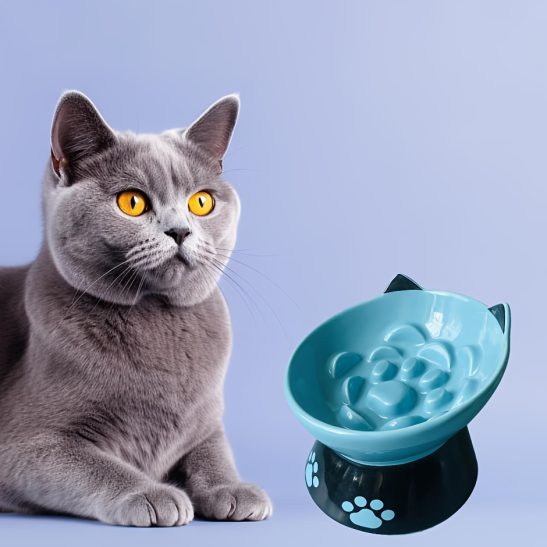 1pc Raised Slow Feeder, 6 inch Handmade Ceramic Elevated Food Bowl Tilted Design for Dog and Cat for Dry and Wet Food